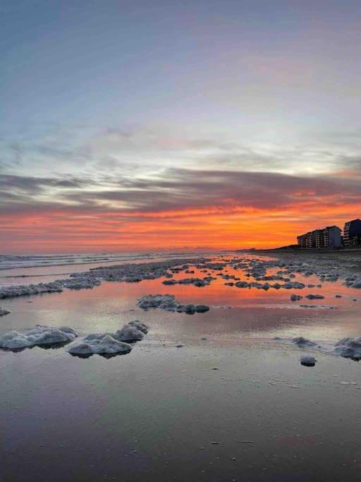 Face A La Mer, Appartement Rdc Bray Dunes Esterno foto