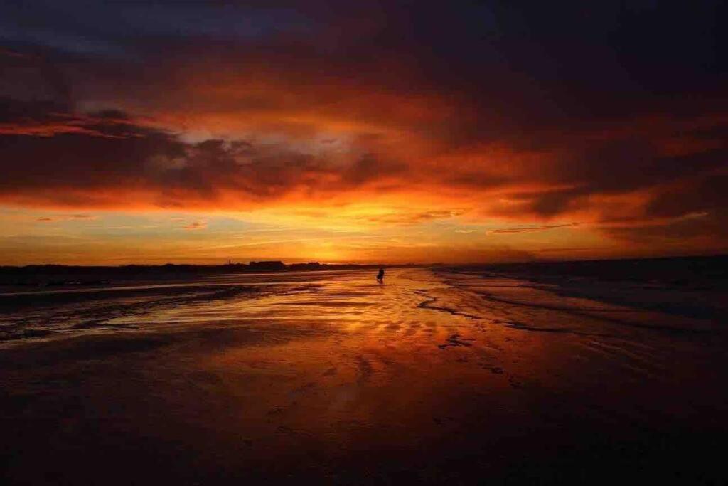 Face A La Mer, Appartement Rdc Bray Dunes Esterno foto