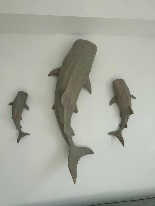 Face A La Mer, Appartement Rdc Bray Dunes Esterno foto