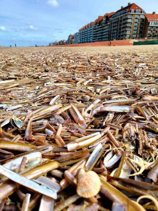 Face A La Mer, Appartement Rdc Bray Dunes Esterno foto